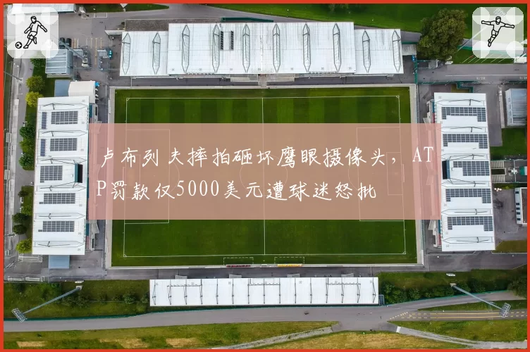 卢布列夫摔拍砸坏鹰眼摄像头，ATP罚款仅5000美元遭球迷怒批